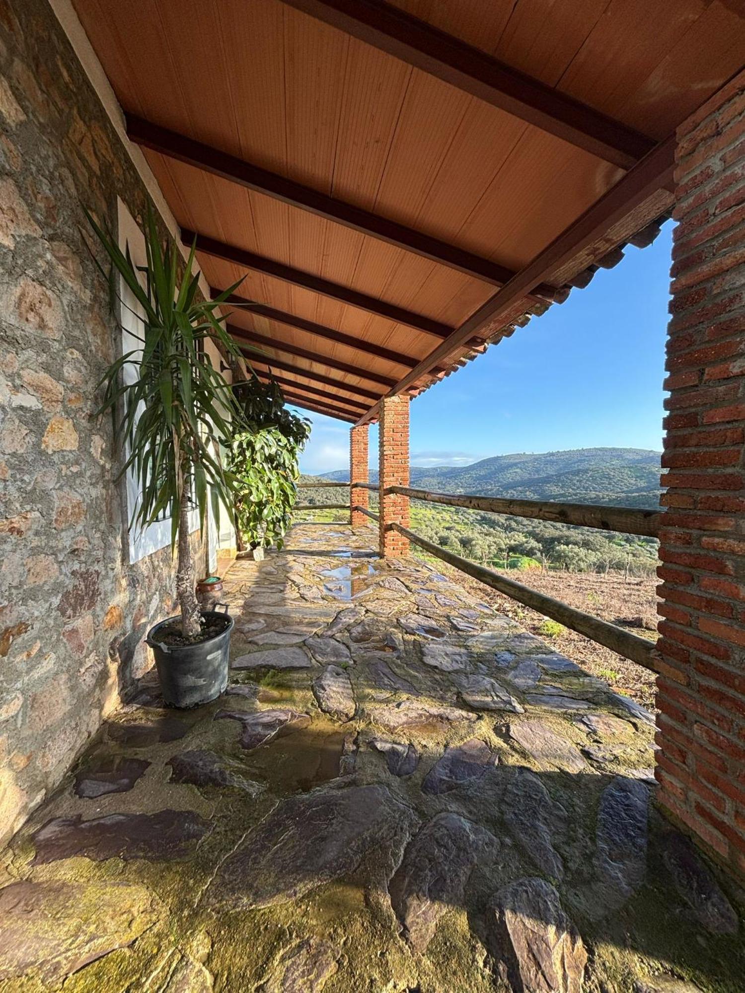 Casas Rurales Los Llanos Fuentes De Leon Exterior photo